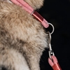 Picture of Freedog Craft Coral Collar – Stylish & Comfortable